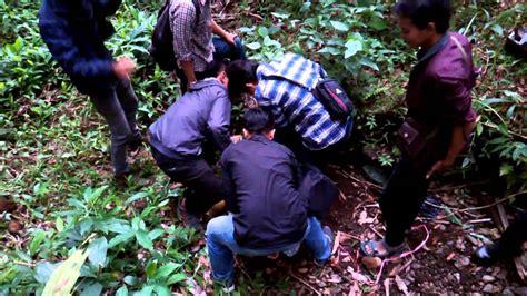 abg mesum di hutan|Kumpulan Mesum Di Hutan